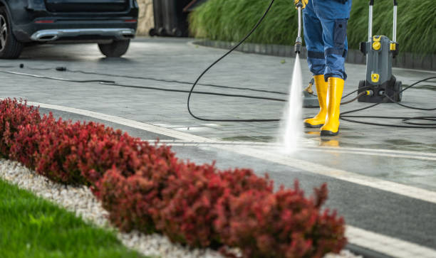 Best Deck Pressure Washing  in Cayuga Heights, NY